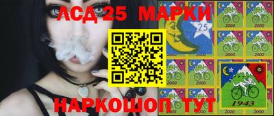 ПСИЛОЦИБИНОВЫЕ ГРИБЫ Бийск