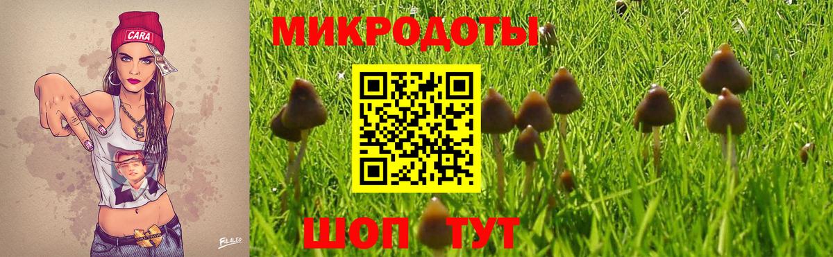 Карталы  Псилоцибиновые грибы мухоморы  Вход с VPN 